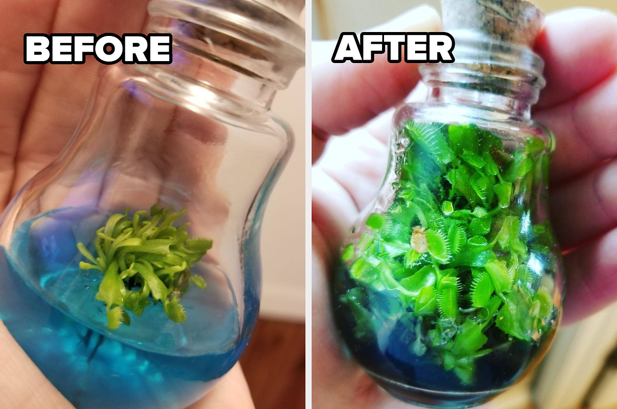 These 32 Things Are Just Too Good To Gatekeep
