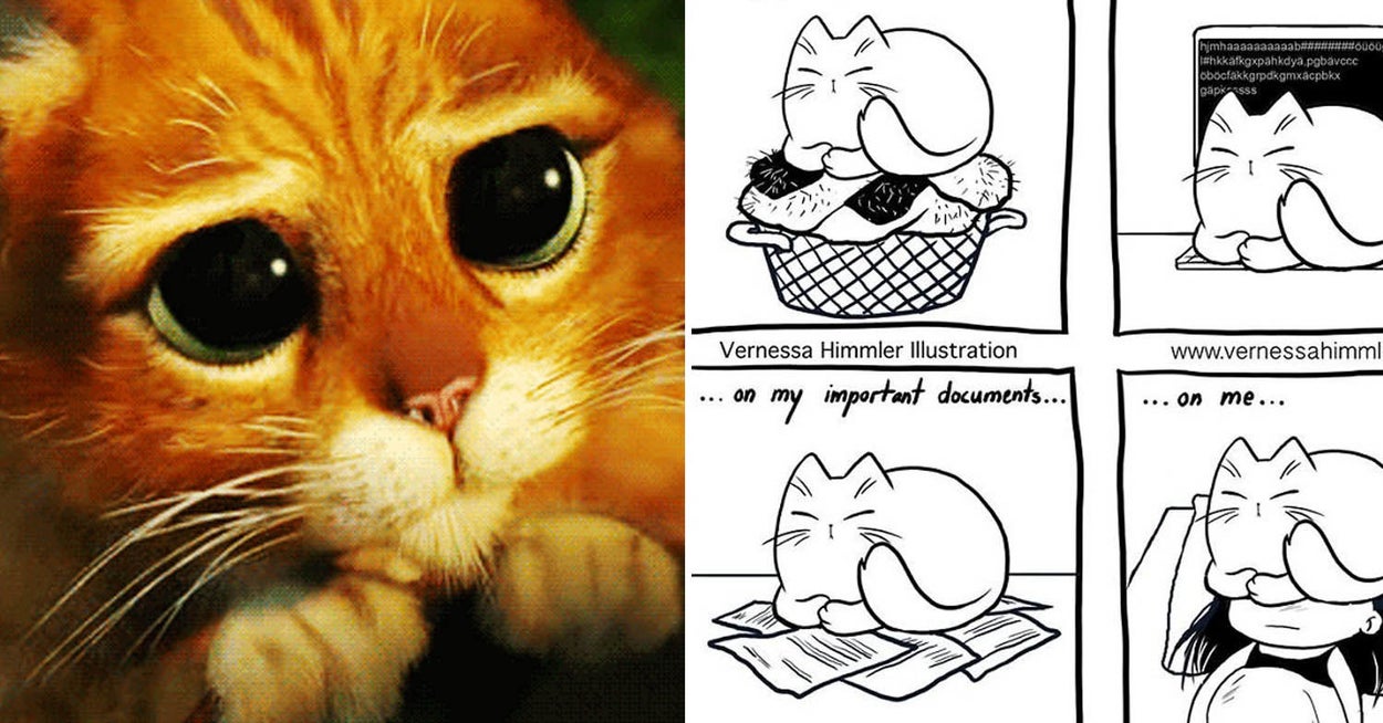 This Artist's Comics About The Struggles Of Being A Cat Mom Are The Most Relatable Thing