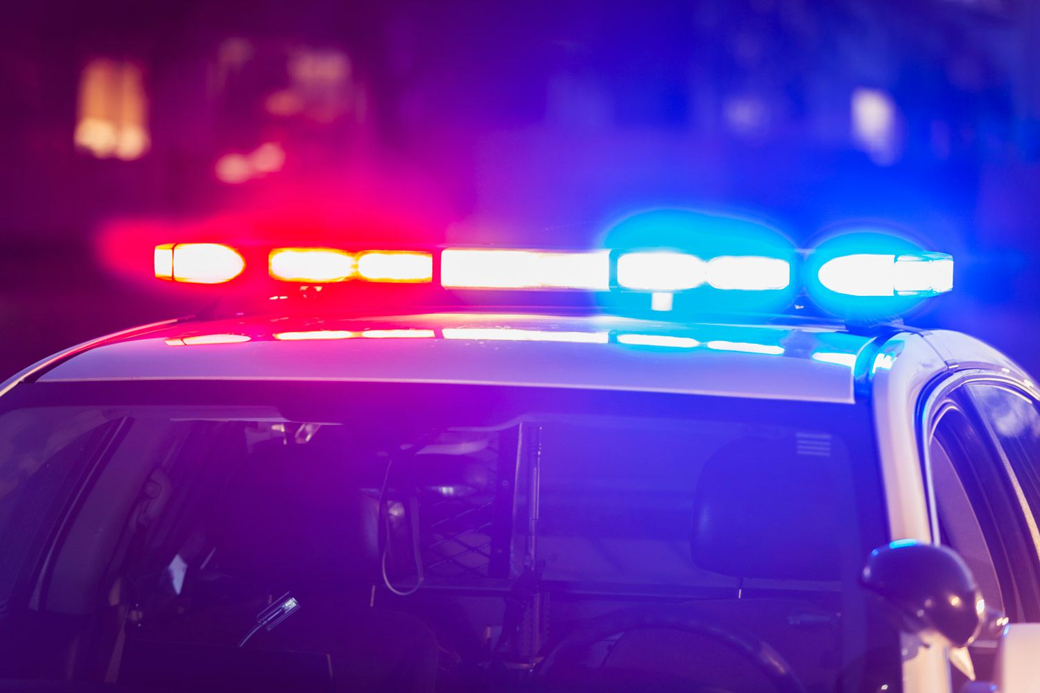 Alabama Woman Dies, 2 Others Injured After Car Strikes a Horse: Police