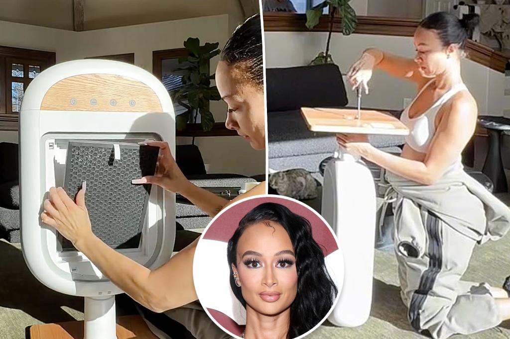 Draya Michele 'tone deaf' for promoting air purifier amid LA fires