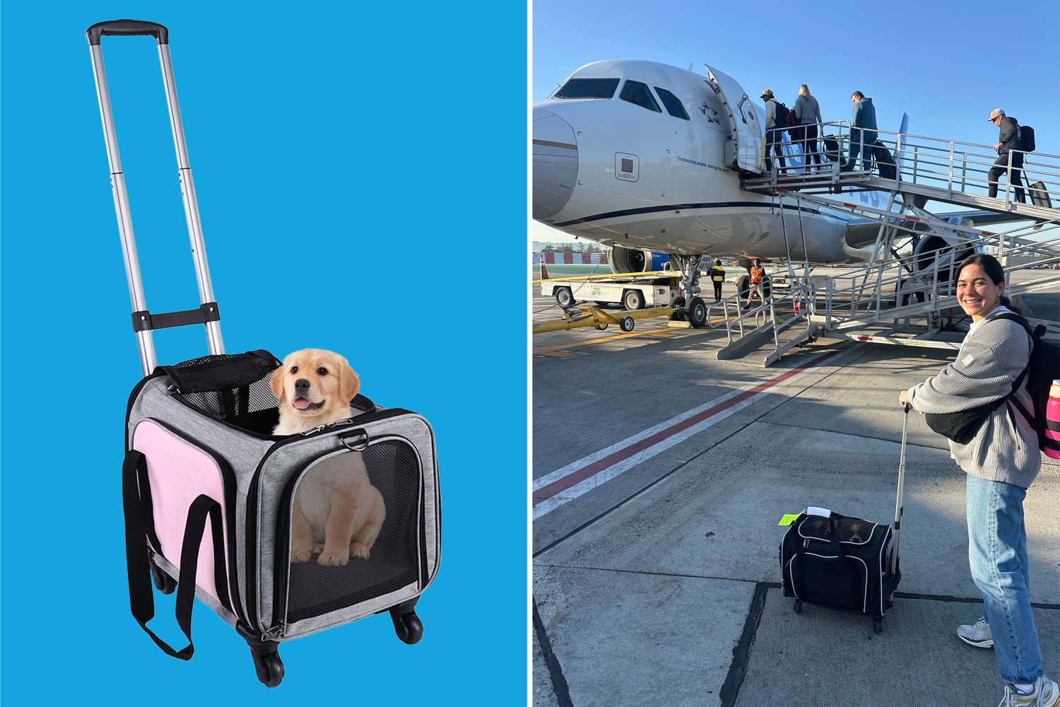 The Wheeled Bebang Pet Carrier Is 59% Off at Walmart