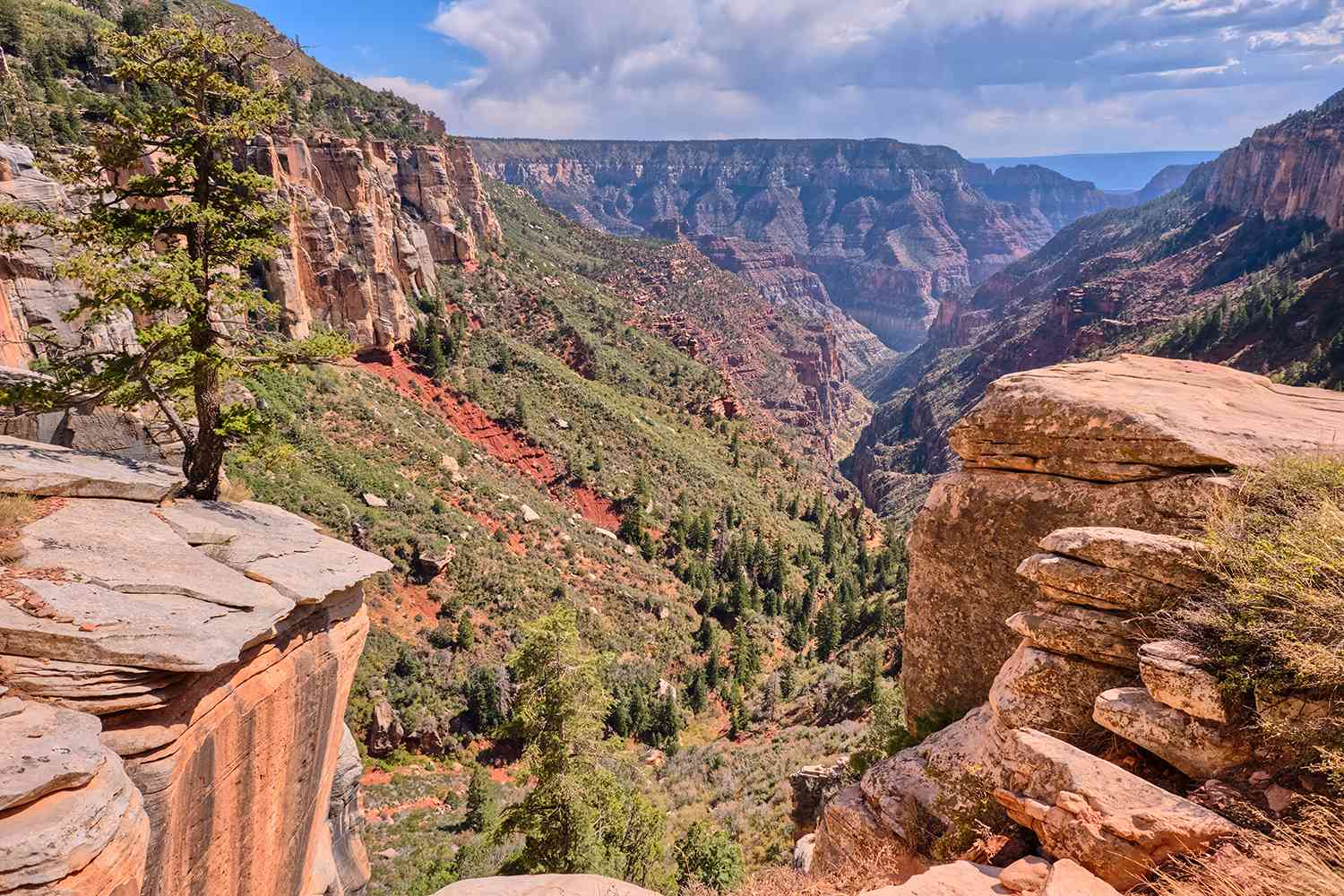 Hiker, 74, Dies During Grand Canyon Rim-to-Rim Trek