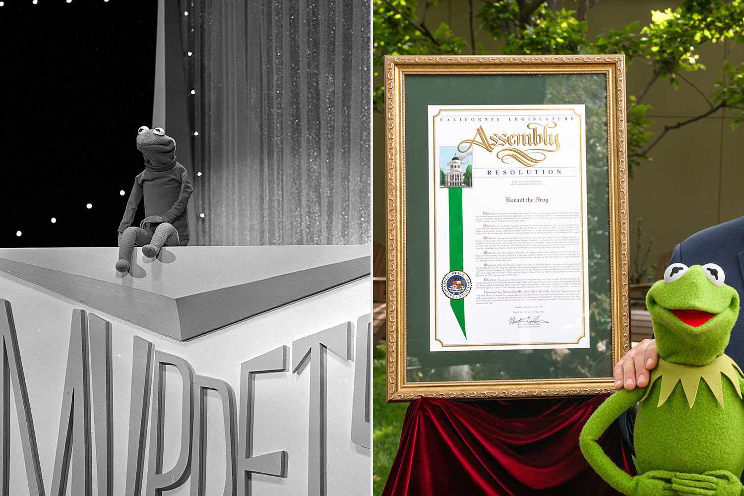 May 9 Is Proclaimed 'Kermit the Frog Day' by Disney
