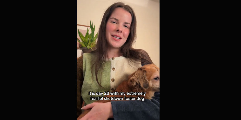 Tiki the Dog's Foster Mom Isabel Klee Explains Why She's Not Adopting Him, Despite Their Incredible Bond