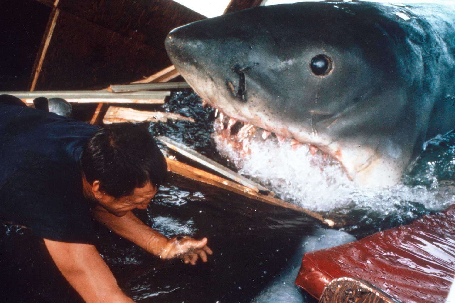 Designer Who Made the Shark in 'Jaws' Shares Secrets from the Set (Exclusive)