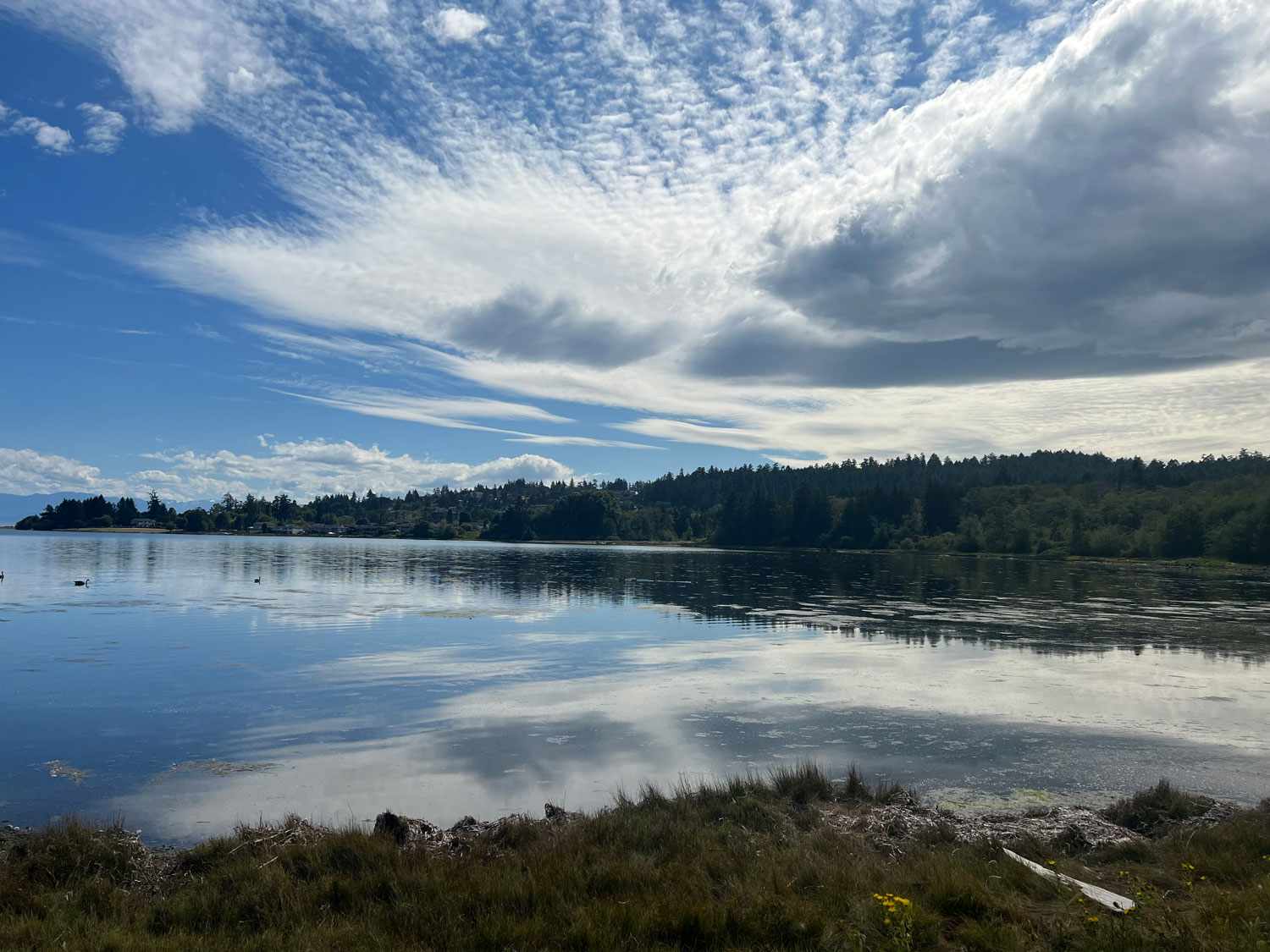 Man Makes ‘Creepy’ Discovery in Gift-Wrapped Box on Beach in Washington