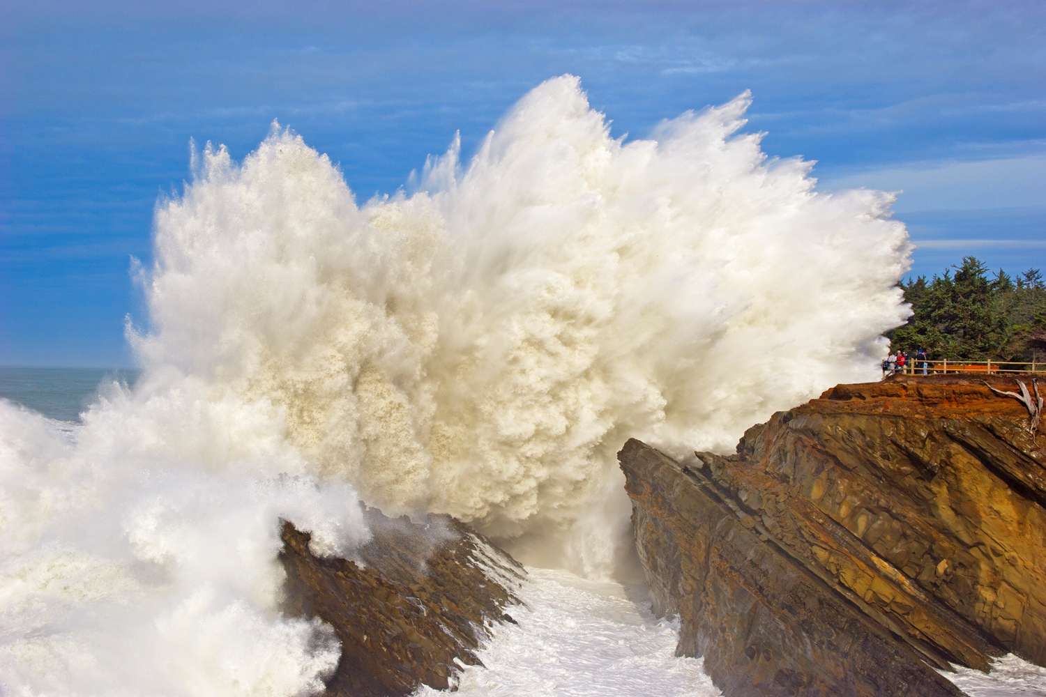 Mile-Deep Underwater Volcano, Axial Seamount, Could Erupt Soon: Scientists