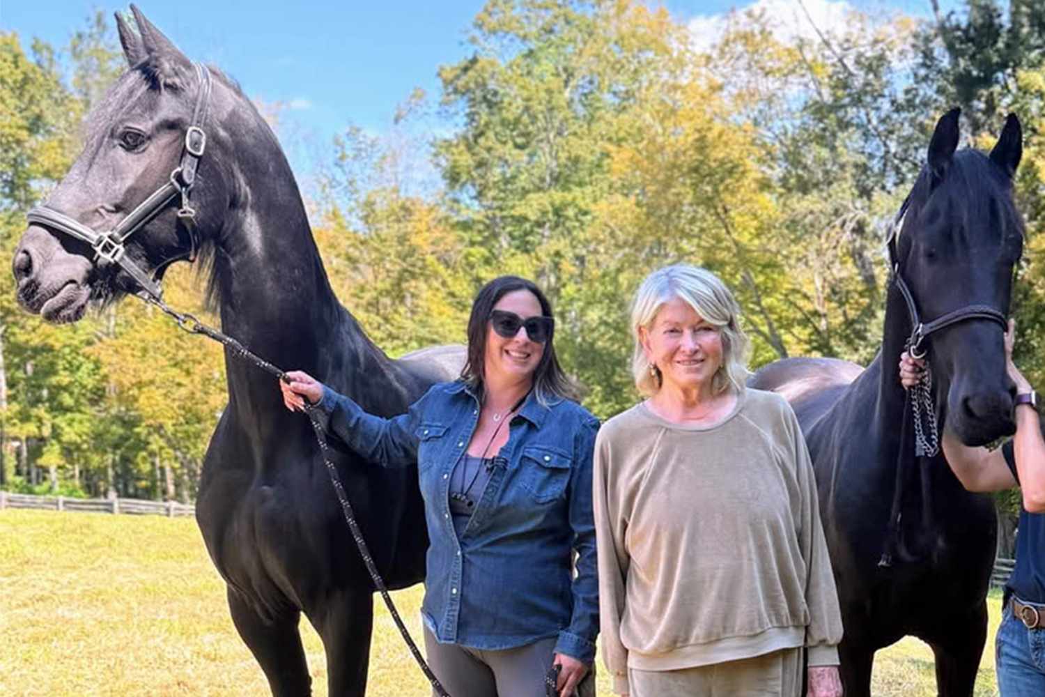 Martha Stewart Adopts Two Rescue Horses from Animal Rescue in Vermont