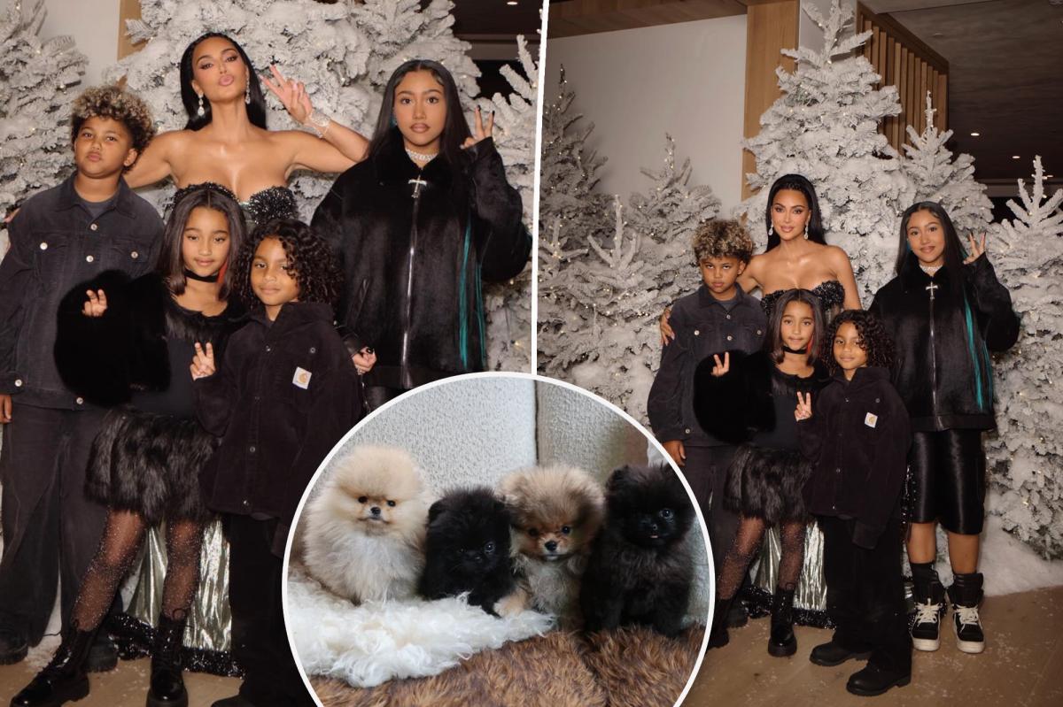 Kim Kardashian called out by PETA for gifting kids four dogs for Christmas: 'Puppies are not plushies'