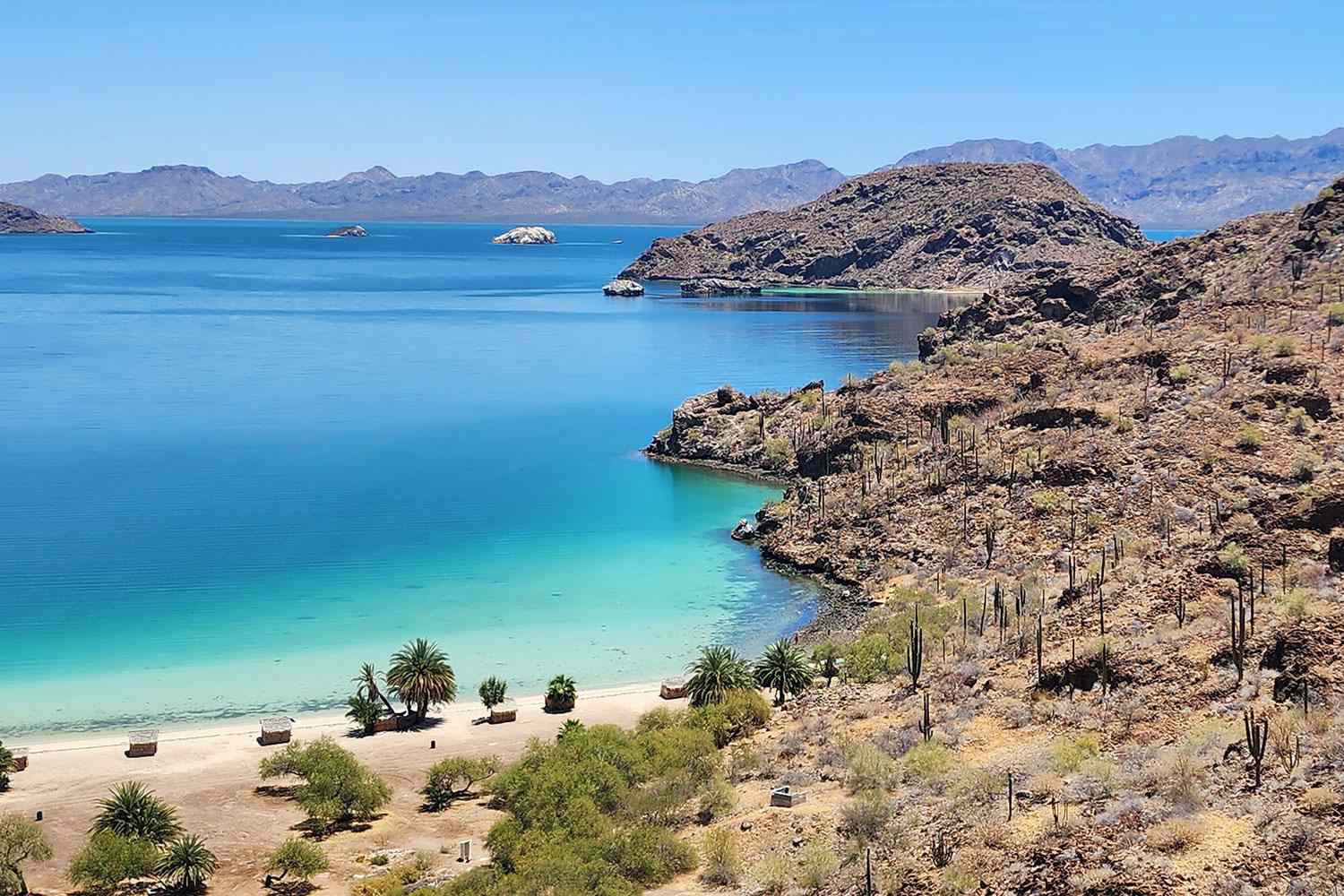 Marooned on a Deserted Island After a Fishing Trip Gone Awry, Three Men Survived on Insects and Beer Until Tragedy Struck