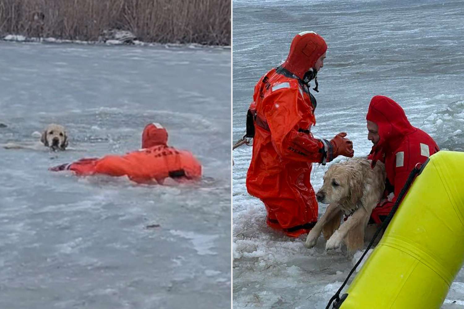 Rhode Island Firefighters Rescue 'Struggling' Dog Who the Fell Through Icy Pond