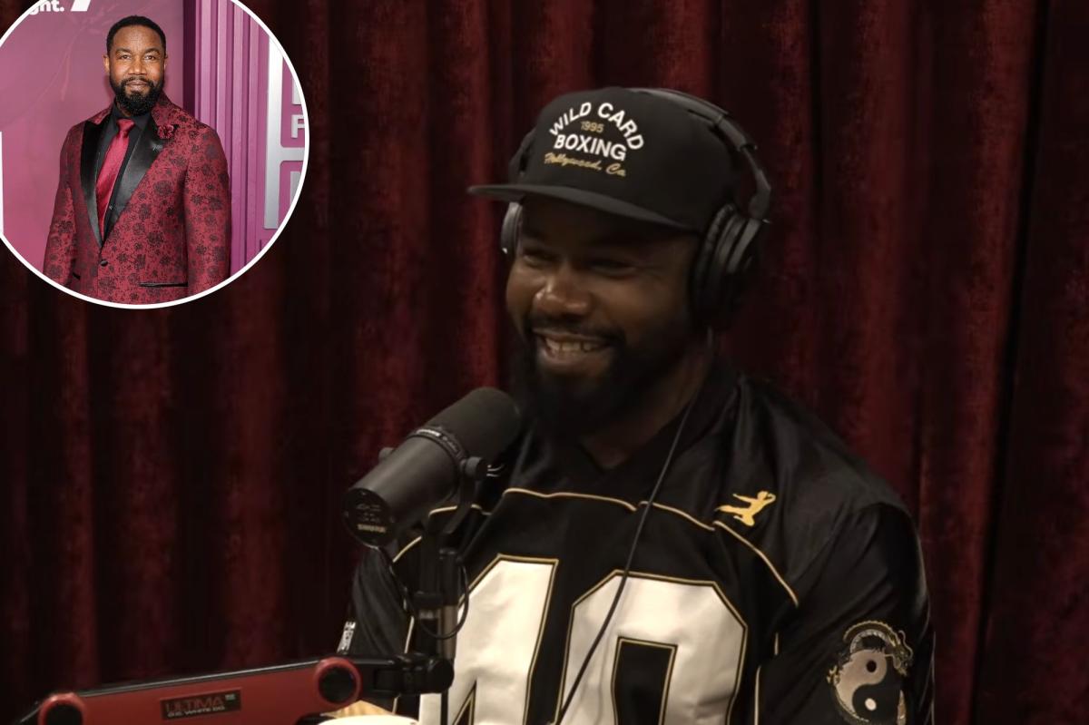 Actor Michael Jai White warns America isnt making men anymore on Joe Rogan Podcast