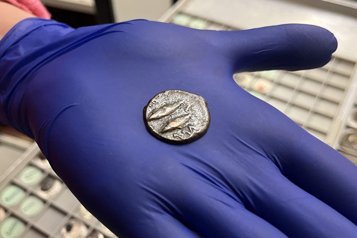 The ancient coinCredit: Leeds City Council