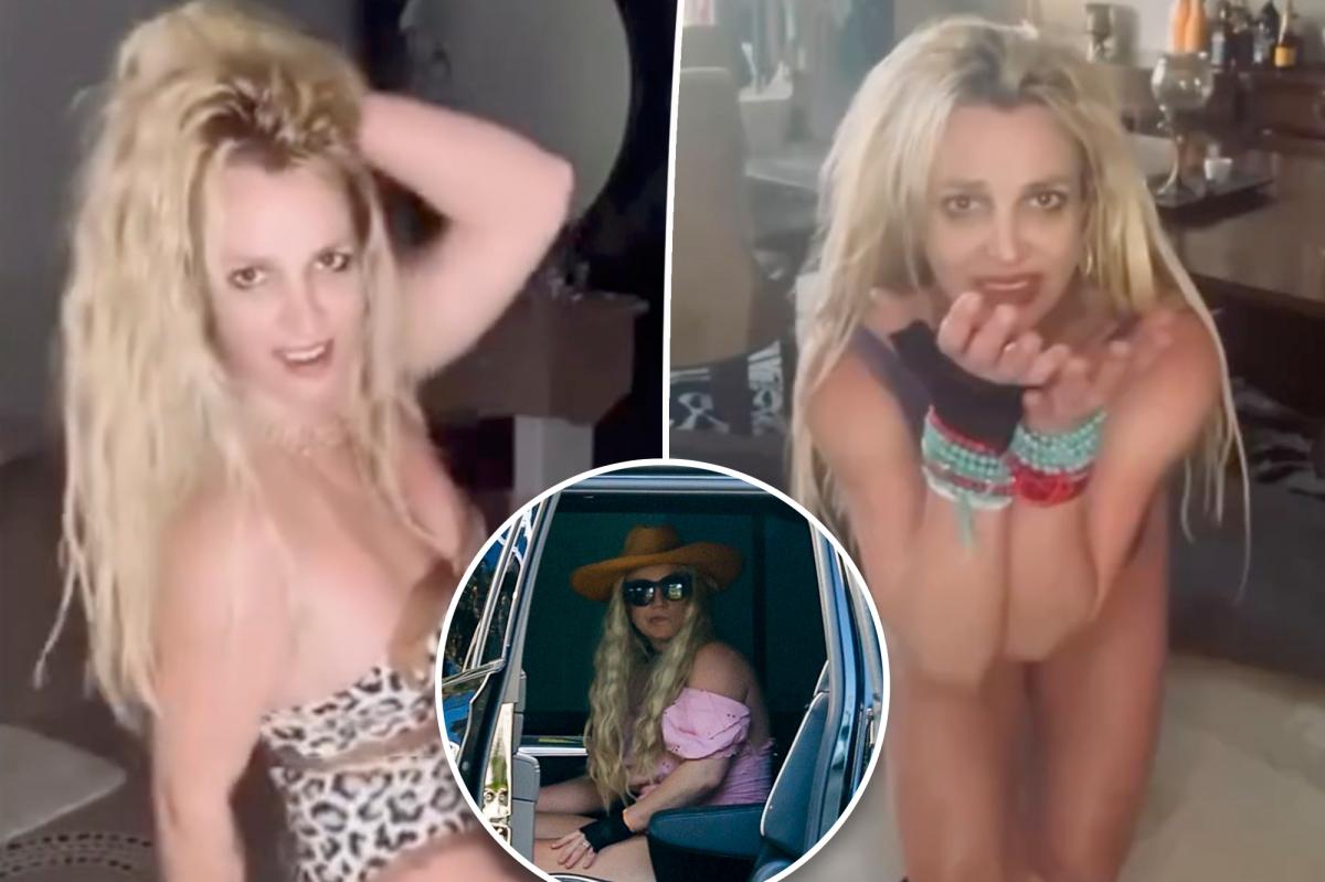 Britney Spears believed to be on cocktail of alcohol and drugs during DUI arrest