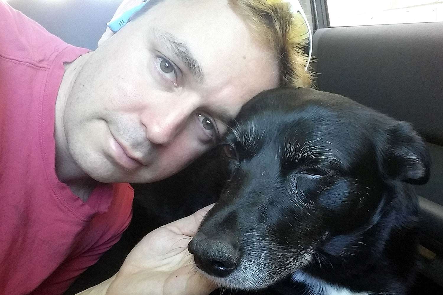 Dale Pearce and Neren, his Australian KelpieCredit: Kennedy News & Media