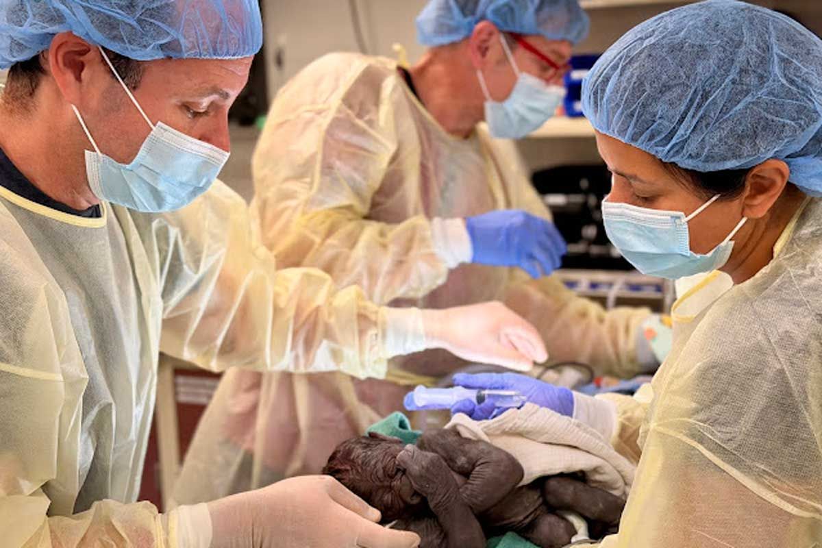 Medical team delivers Olympia's baby boy via C-section on May 24, 2026Credit: Nichole Hamilton/MFM Sonographer