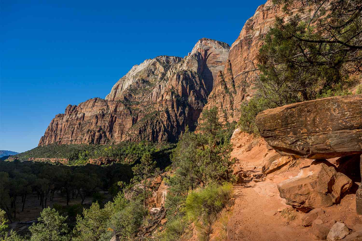 Hiker Survives 35-Foot Fall, Being Impaled By Tree Branch Before Being Airlifted During Rescue