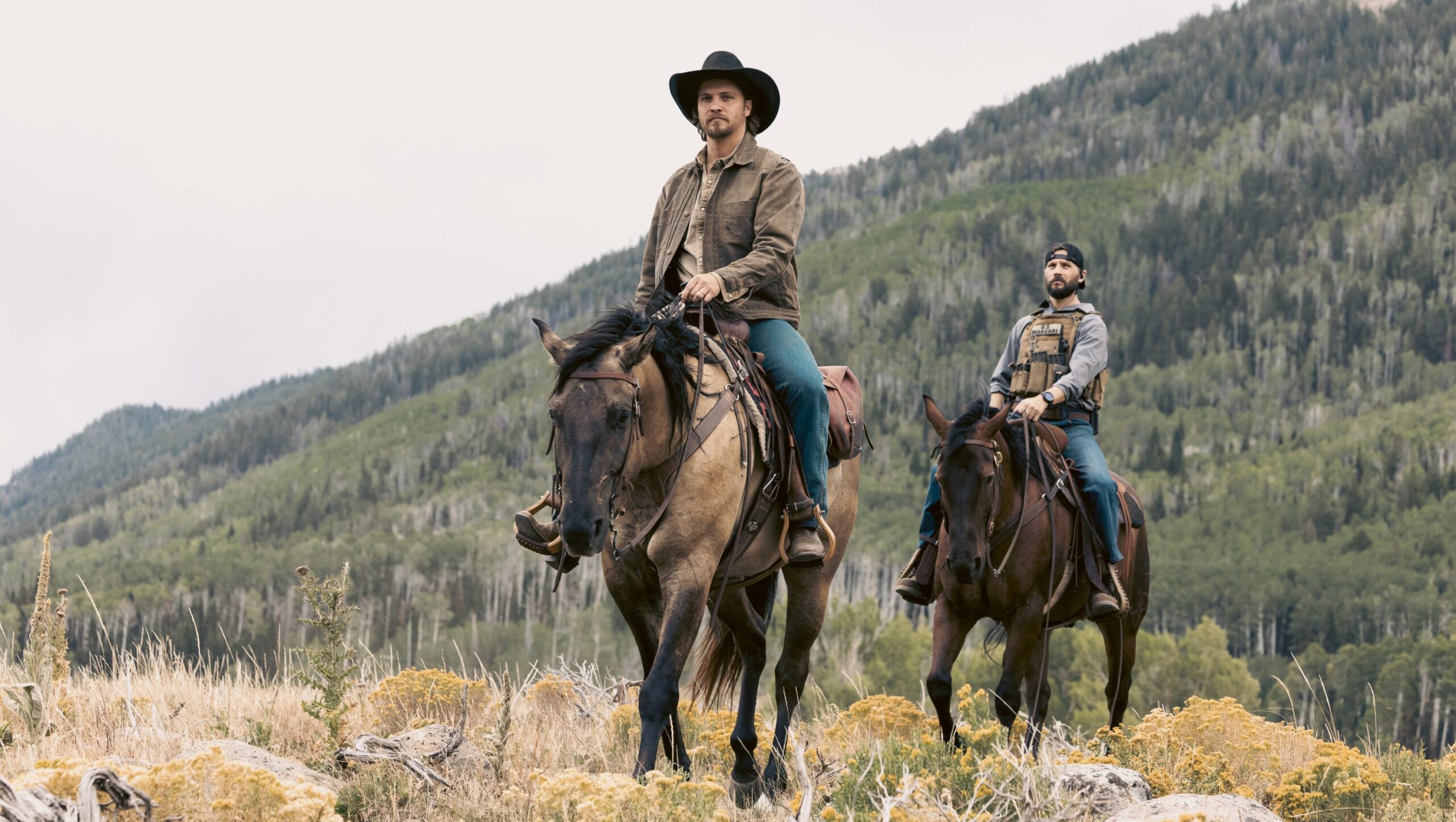 Meet the Stars of the ‘Yellowstone’ Spinoff Series – Hollywood Life