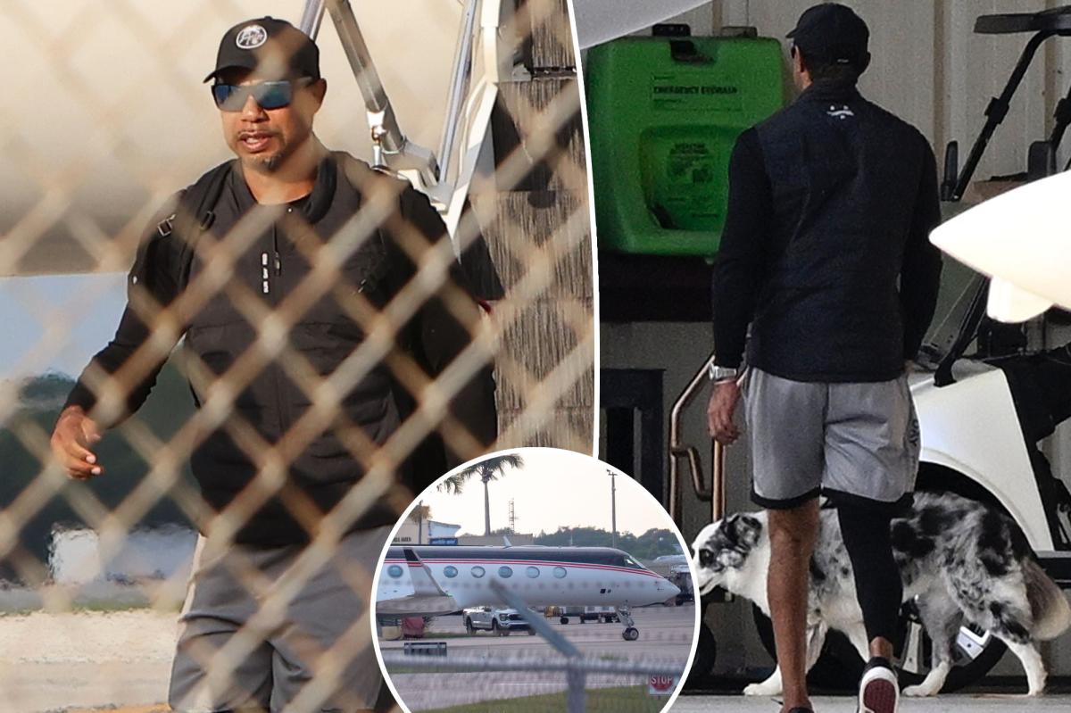 Tiger Woods pictured getting off private plane after month-long rehab stint for DUI arrest