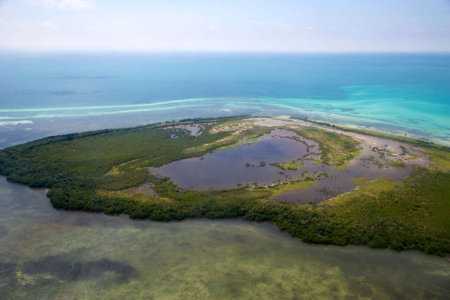 Woman, 63, Dies Following Snorkeling Incident in the Florida Keys