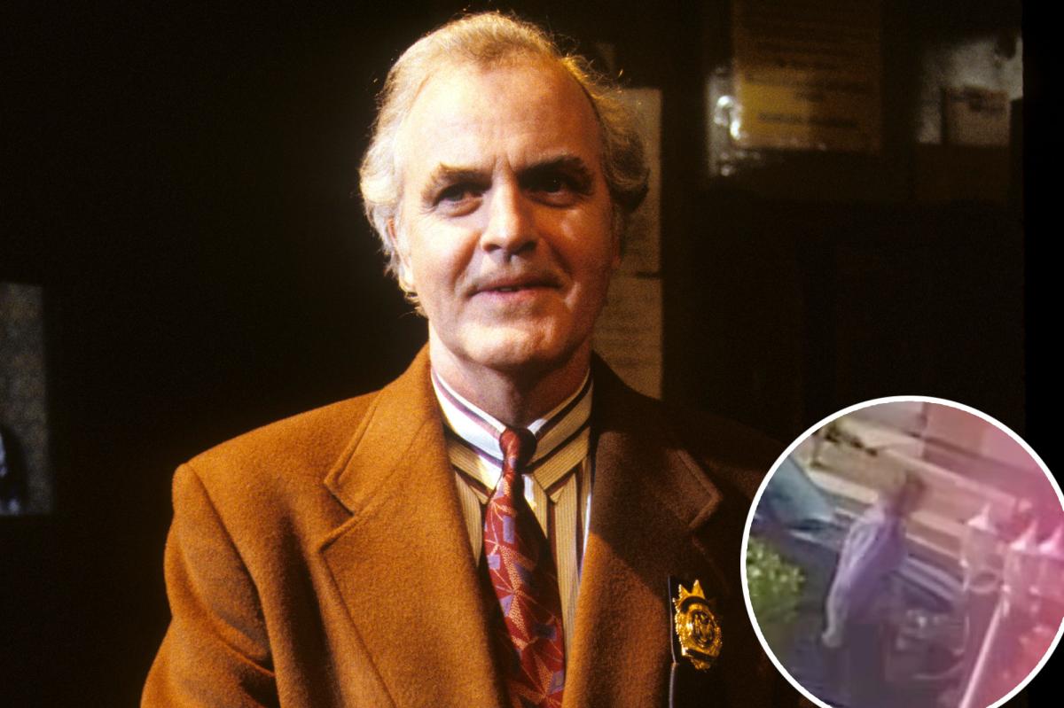 Actor James Handy's girlfriend's son charged with murder
