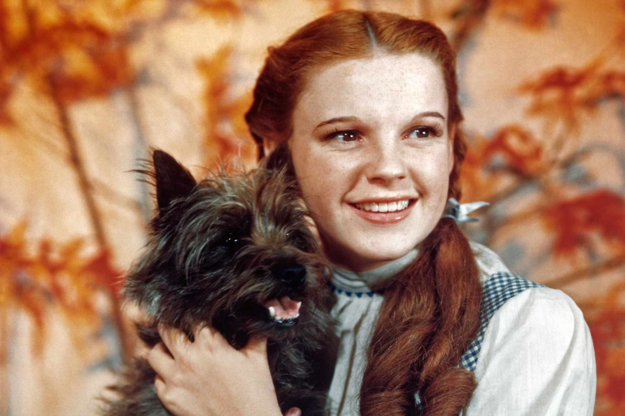Judy GarlandCredit: Herbert Dorfman/Corbis/Getty