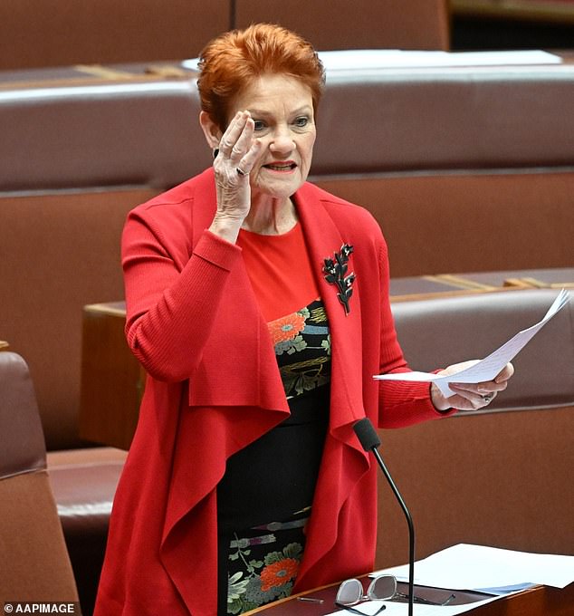 Pauline Hanson (pictured) has backed Karl Stefanovic by uploading his pulled interview with with Tommy Robinson to her own YouTube channel